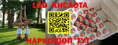 прущие грибы Абинск
