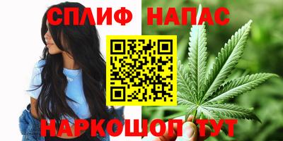 эйфоретик Дубна