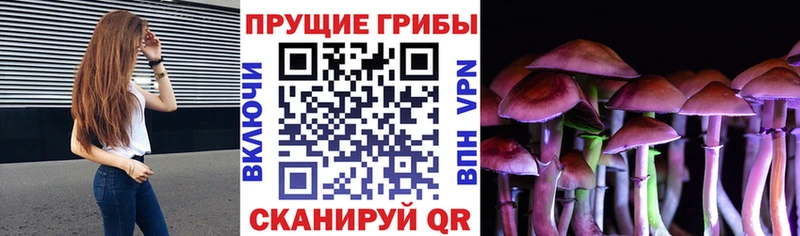 Галлюциногенные грибы мицелий  МЕГА сайт  Соликамск 