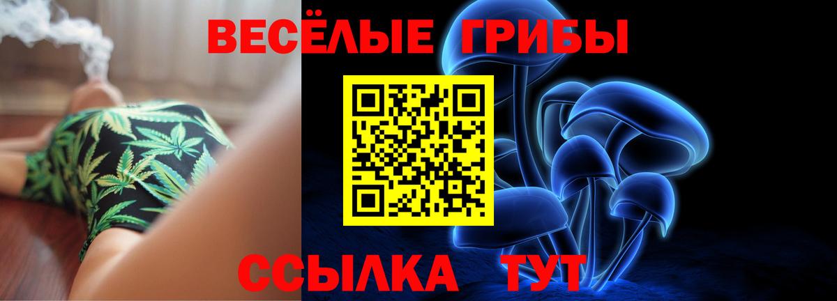 Соликамск  Галлюциногенные грибы мухоморы  Галлюциногенные грибы прущие грибы  Вход с VPN 